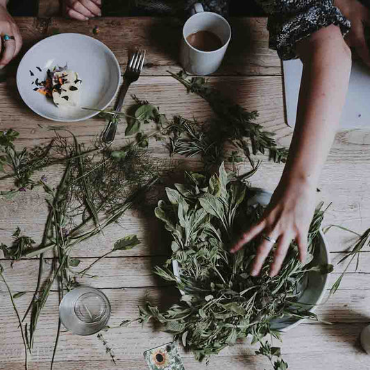 How to Dry Herbs in a Dehydrator